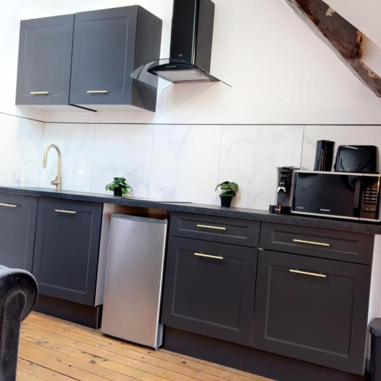 Le Loft, T2 duplex centre ville historique - Appartement 1 Chambre - 29
