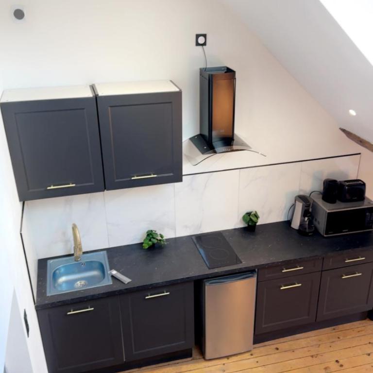 Le Loft, T2 duplex centre ville historique - Appartement 1 Chambre - 35
