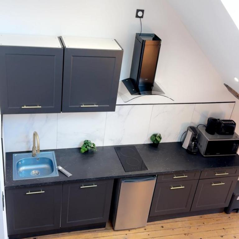 Le Loft, T2 duplex centre ville historique - Appartement 1 Chambre - 37