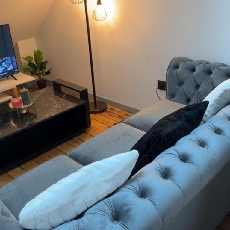 Le Loft, T2 duplex centre ville historique - Appartement 1 Chambre - 39