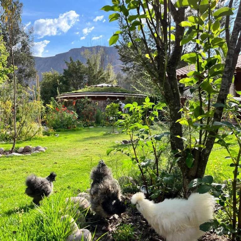 Beautiful 1BR House in Camino Real - Casa con 1 dormitorio - 6