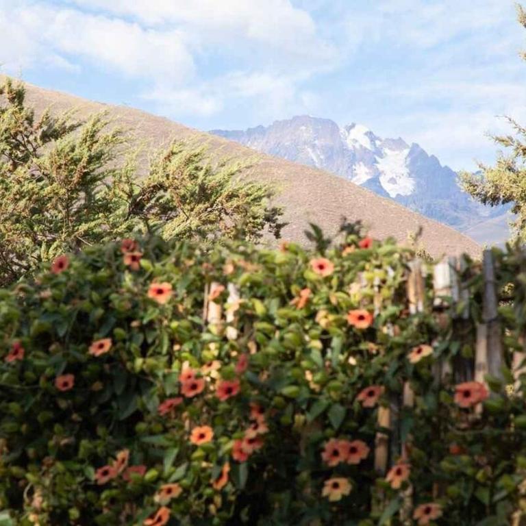 Beautiful 1BR House in Camino Real - Casa con 1 dormitorio - 9