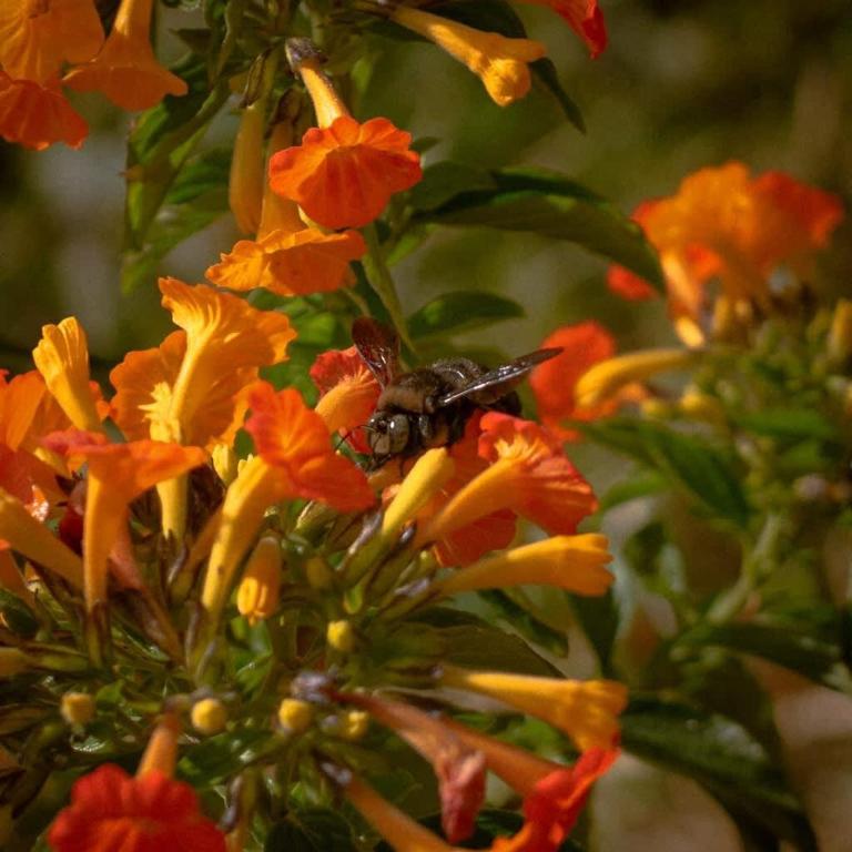 Beautiful 1BR House in Camino Real - Casa con 1 dormitorio - 26