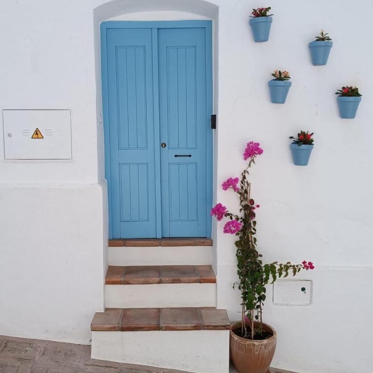 La Montsiña, acogedora casa de estilo mediterráneo - Casa de 3 dormitorios - 42