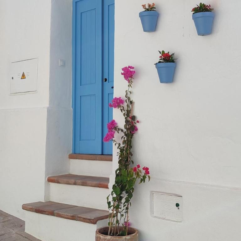 La Montsiña, acogedora casa de estilo mediterráneo - Casa de 3 dormitorios - 43