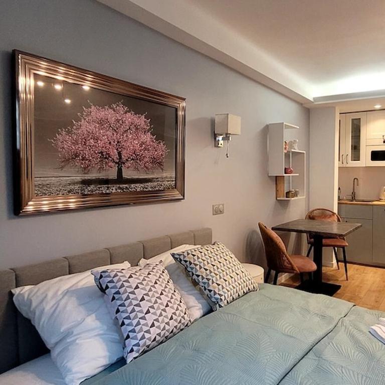 Cozy studio in the heart of Cannes - Apartment mit 1 Schlafzimmer - 1