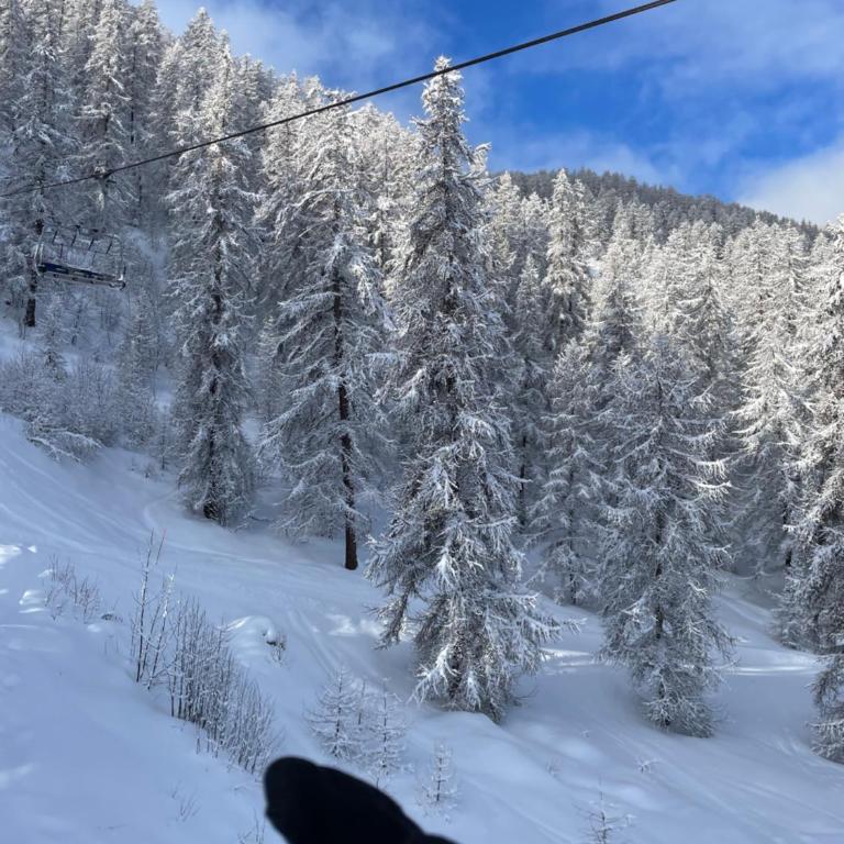 Puy St Vincent 1800 au pied des pistes - Apartment mit 2 Schlafzimmern - 46