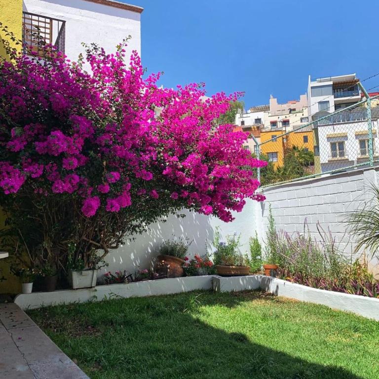 Casa Bugambilia Guanajuato - Vacation Home - 17