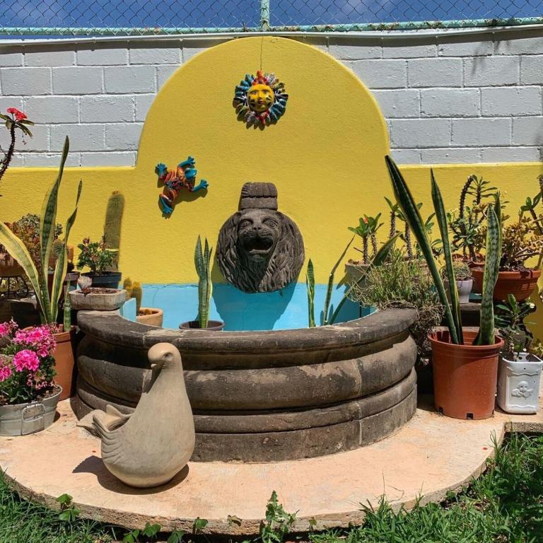 Casa Bugambilia Guanajuato - Vacation Home - 51