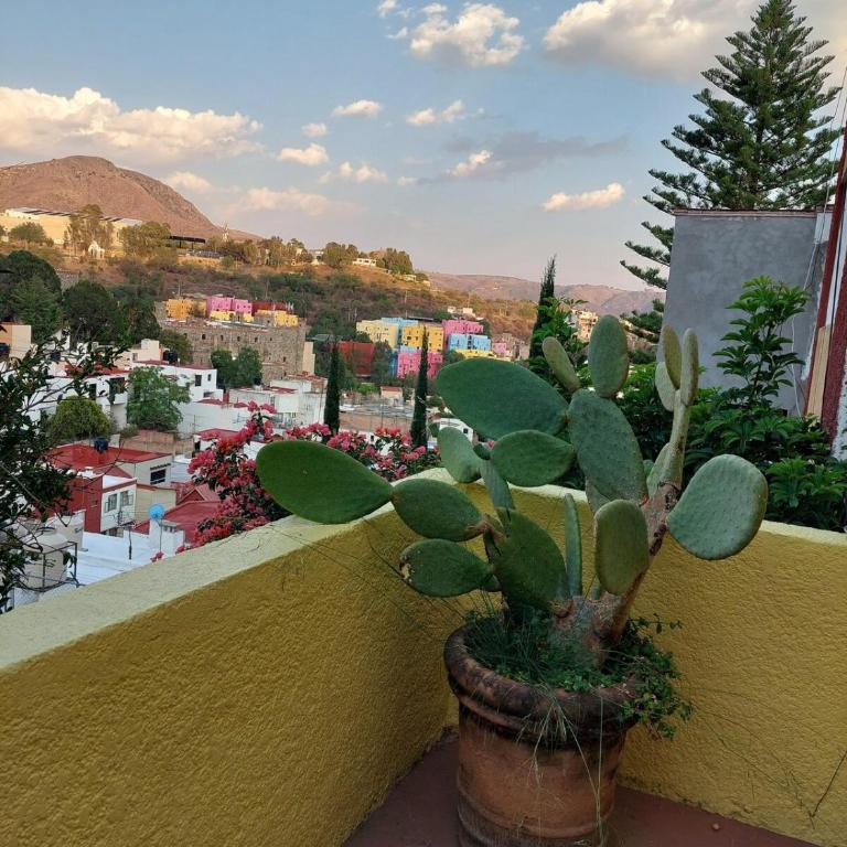 Casa Bugambilia Guanajuato - Vacation Home - 52