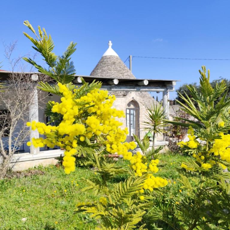 Trullo il Zippo in Zippitello - Casa con 3 Camere da Letto - 15