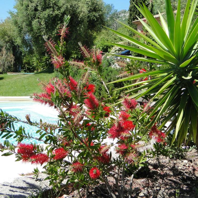 Villa Aurabelle für Familien und Genießer der Côte d'Azur - Villa - 2
