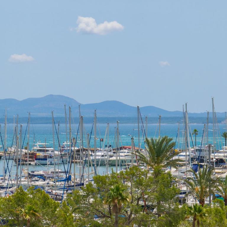 C140 Pine Beach by Mallorca Villa Selection - Apartamento de 2 dormitorios con vistas al jardín - 21