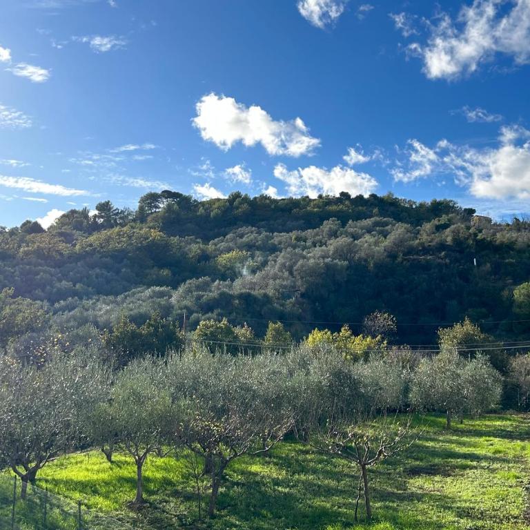 ROSMARINO - Charming 2 bedrooms apartment with garden and parking - Appartamento con 2 Camere da Letto e Vista Giardino - 33
