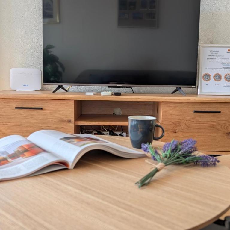 GERONA lovely apartment - Two-Bedroom Apartment - 10
