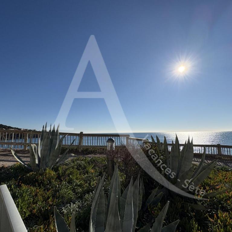 T2 en rez de jardin, face a la mer avec parking - Apartamento - Planta baja - 5