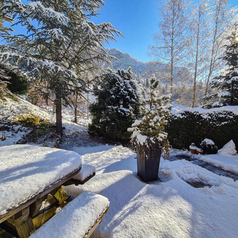 Le Noisetier - Mini Chalet 2 pers - 2min la Clusaz - AravisTour - Chalet 1 Chambre - 22