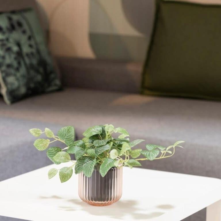 Le Mayflower 2 à 14 p A 500M DU ZOO!! avec piscine - Casa con 4 camere da letto - 13