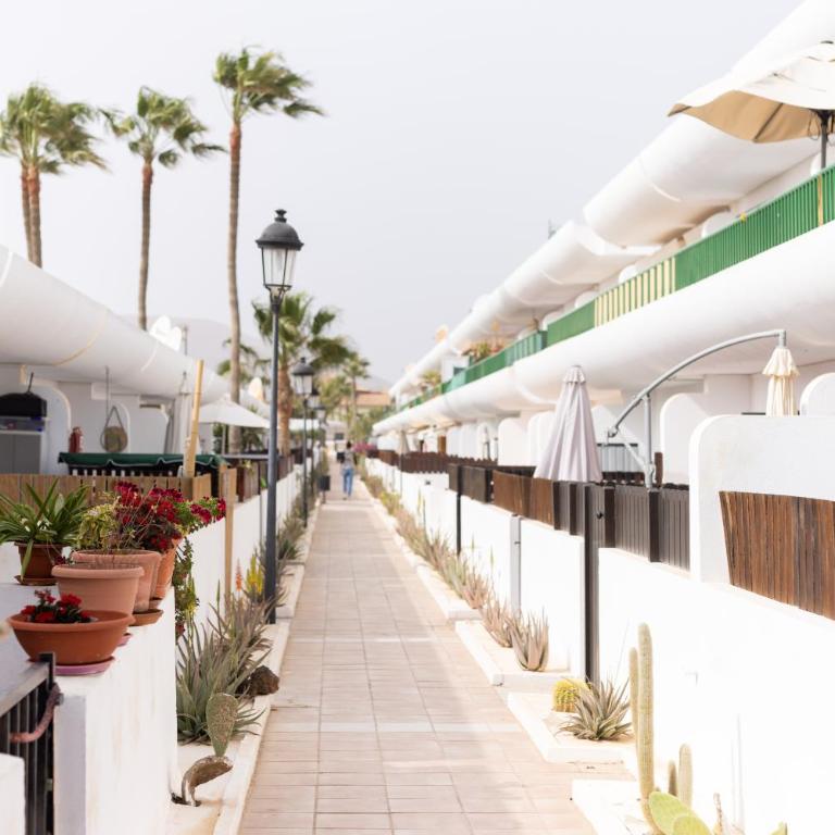 Home2Book Cozy Helmut's Place Corralejo, Terrace - One-Bedroom Apartment - 23