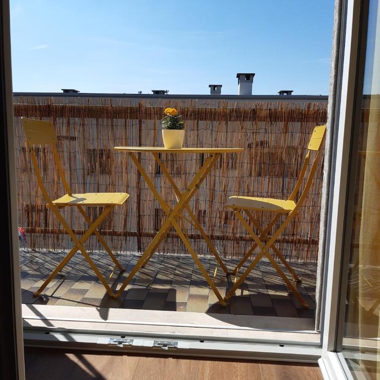 Appartamento Illirico 16 - Città Studi - Appartamento con 1 Camera da Letto - 5