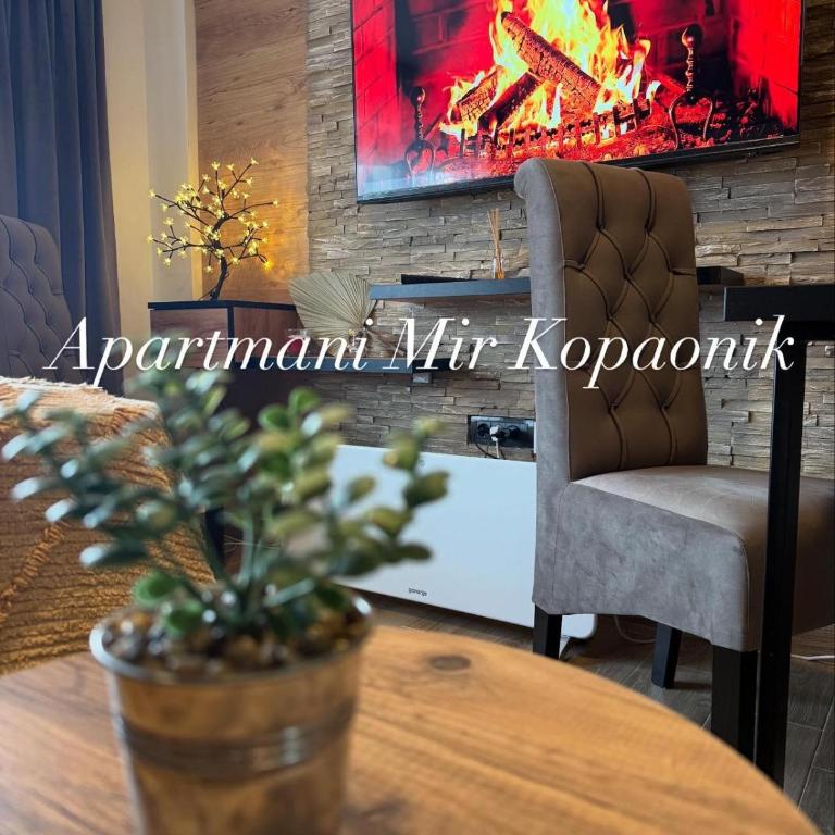 Apartmani Mir Kopaonik - One-Bedroom Apartment - 1
