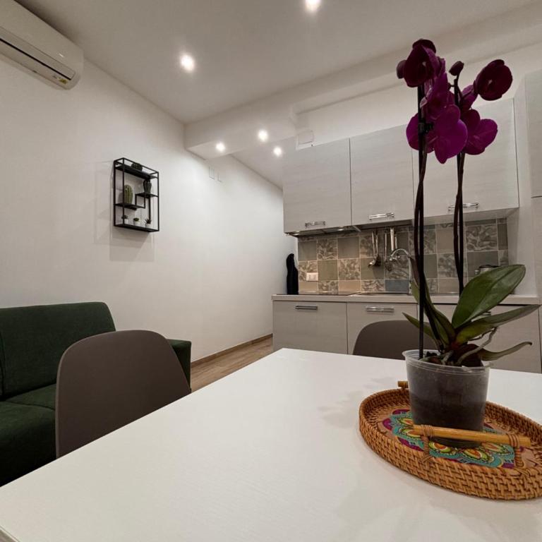 Garzilli Cozy Apartment - Apartment mit 1 Schlafzimmer - 17