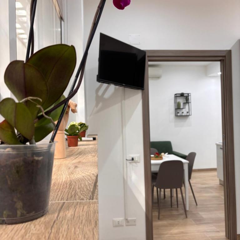 Garzilli Cozy Apartment - Apartment mit 1 Schlafzimmer - 26
