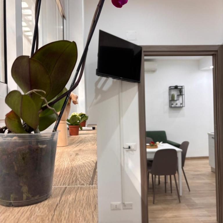 Garzilli Cozy Apartment - Apartment mit 1 Schlafzimmer - 28