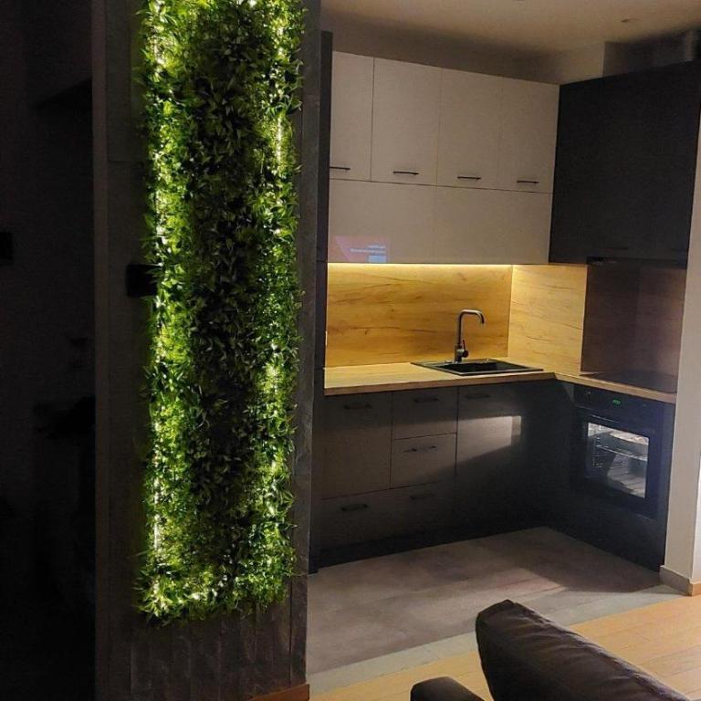 Apartman Julius Kalman - Apartman sa 1 Spavaćom Sobom - 5