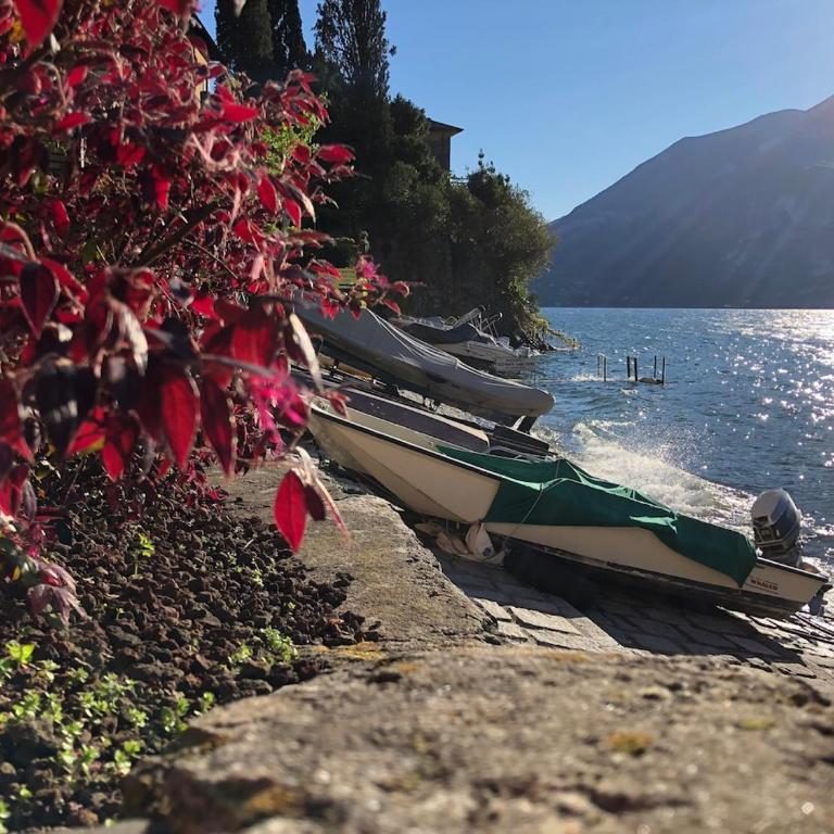 Punto di Vista - A Real Paradise - Appartamento con 2 Camere da Letto - 72