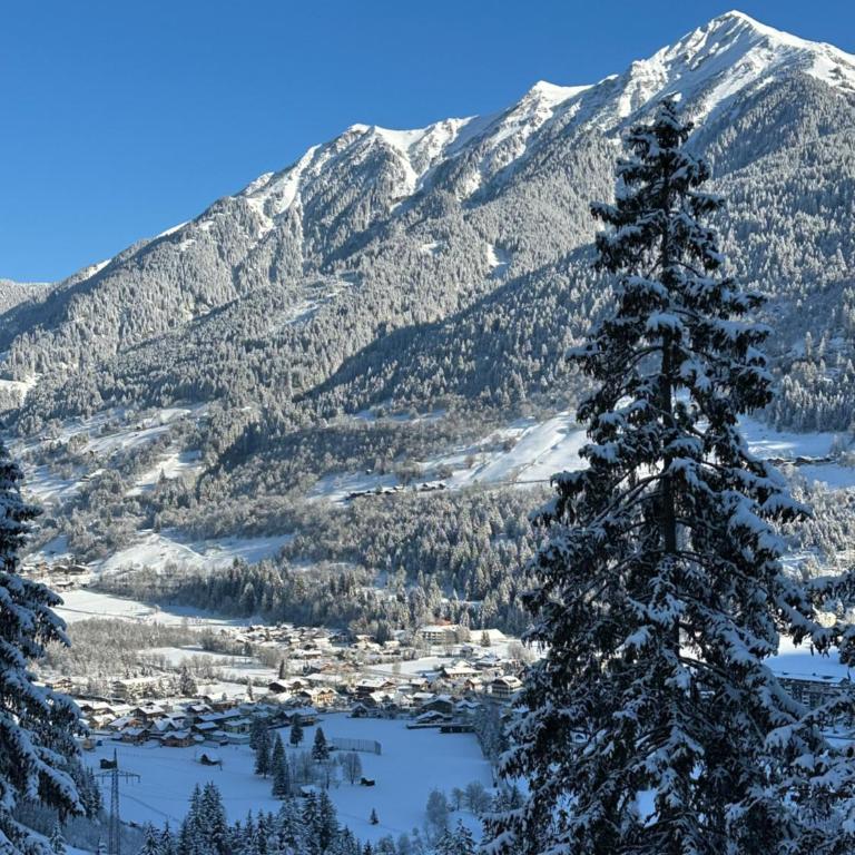 CHALET Sophie & Max in Bad Gastein - Apartment mit 3 Schlafzimmern - 24