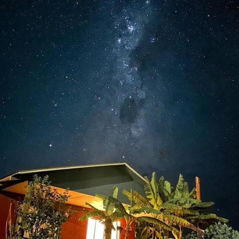 Manu Kehu - Two-Bedroom House - 5