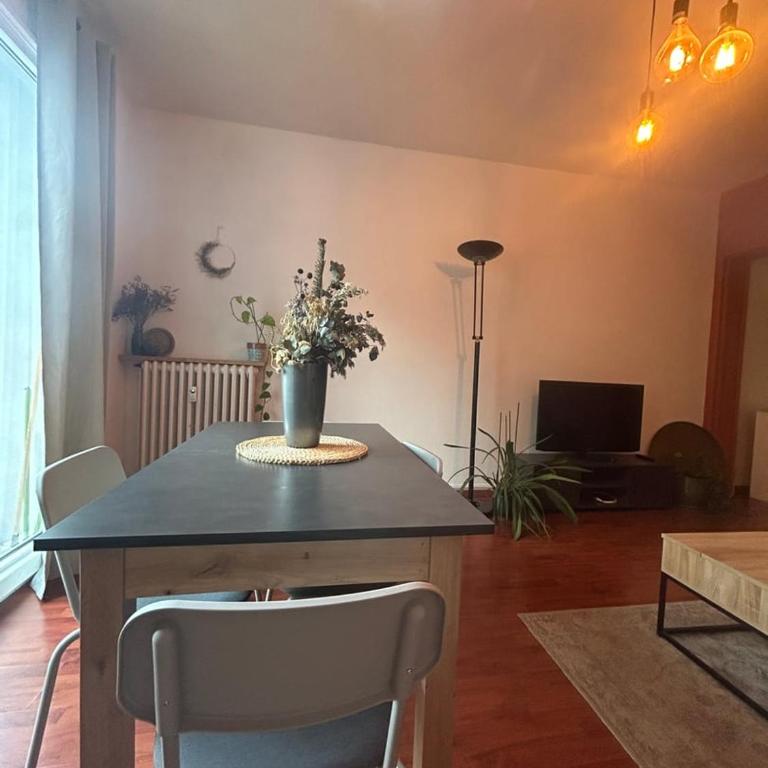 Le Coteau city center near train station - Appartement 2 Chambres - 11