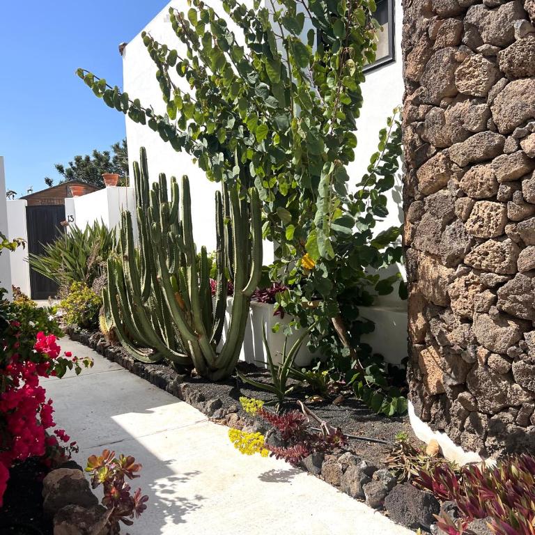 Oasis en Lanzarote - Casa de 2 dormitorios - 33