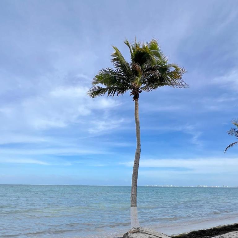 Condominiums By The Sea - Apartamento de 1 dormitorio - 1