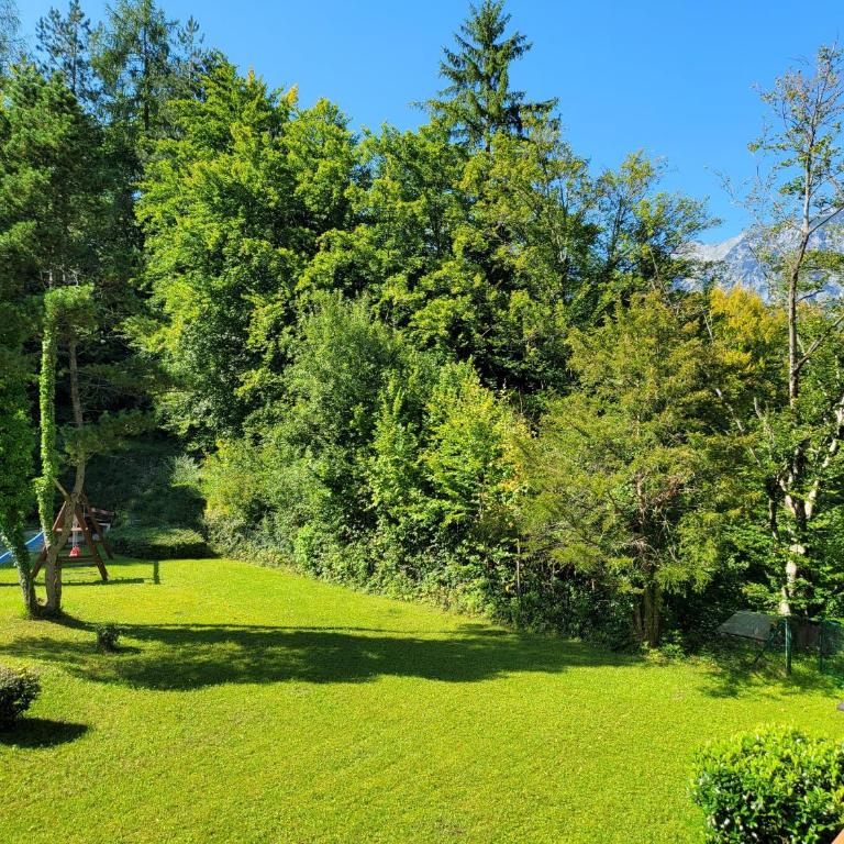 Alpenschwänchen 2 - Salzschwänchen - Apartment - 18
