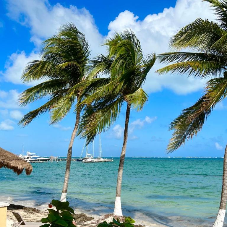 Condominiums By The Sea - Apartamento de 1 dormitorio - 10