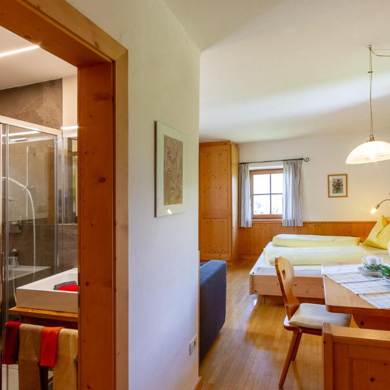 Appartments Moarhof - Monolocale - 2