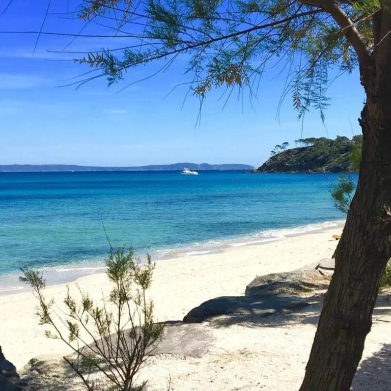 Superbe appartement climatisé avec wifi classé 3 étoiles à 50 m de la plage Le Lavandou - Apartment mit 2 Schlafzimmern und Terrasse - 8