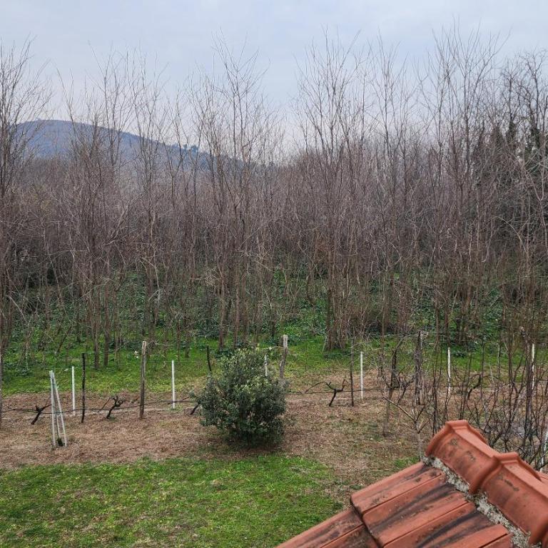 Lush Garden Villa Close to Airport with Hi-Speed Wifi - Two-Bedroom Villa - 7
