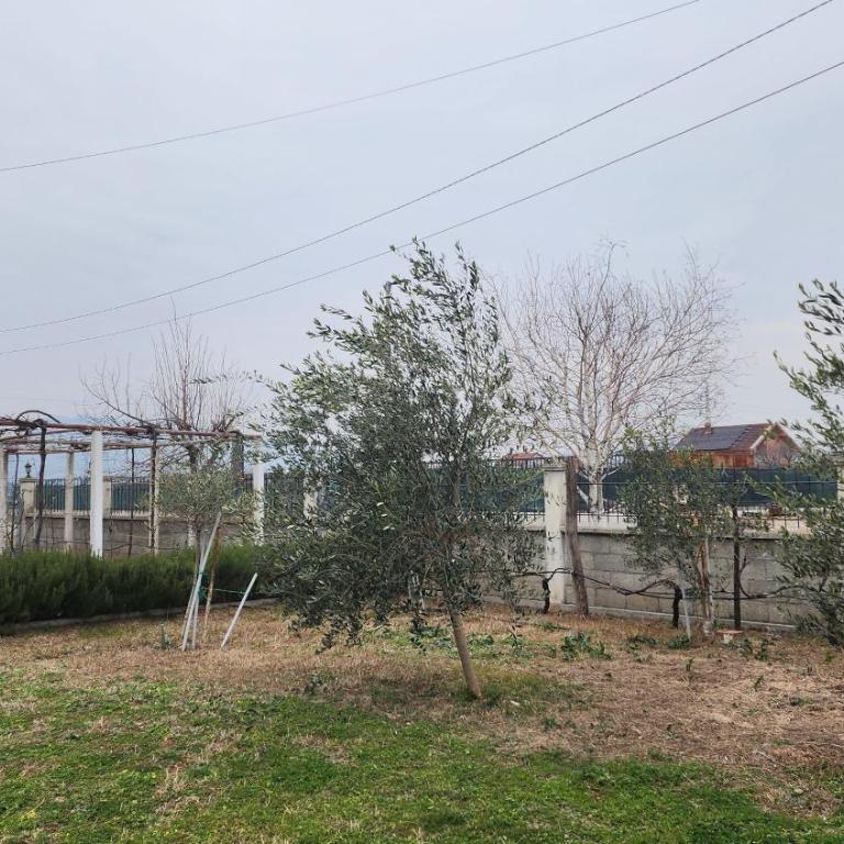 Lush Garden Villa Close to Airport with Hi-Speed Wifi - Two-Bedroom Villa - 16