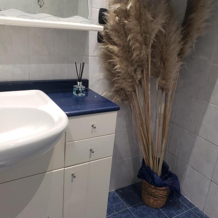 Casa egregia - Apartamento de 3 dormitorios - 14