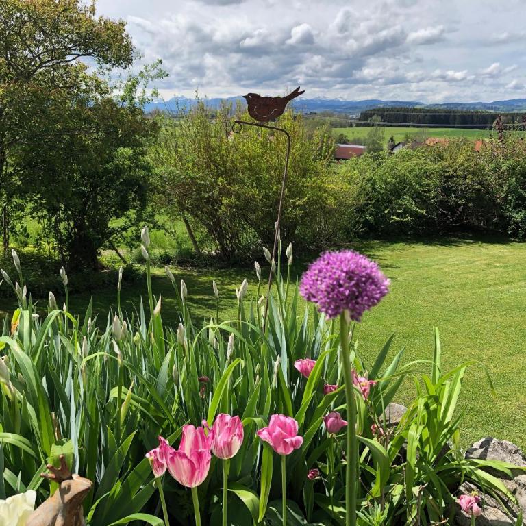 Hanni und Nanni - Apartment - 11
