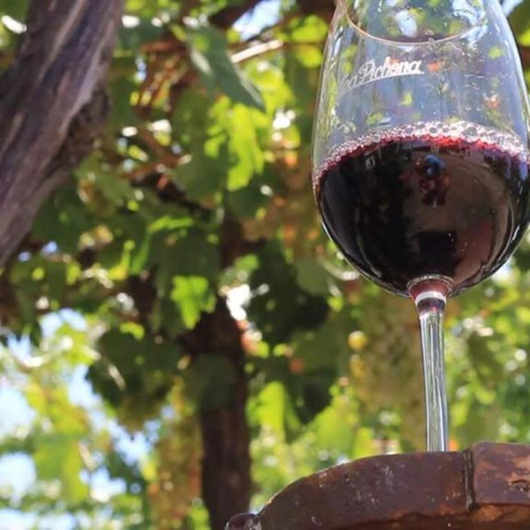 Finca La Pichona - Two-Bedroom House - 15