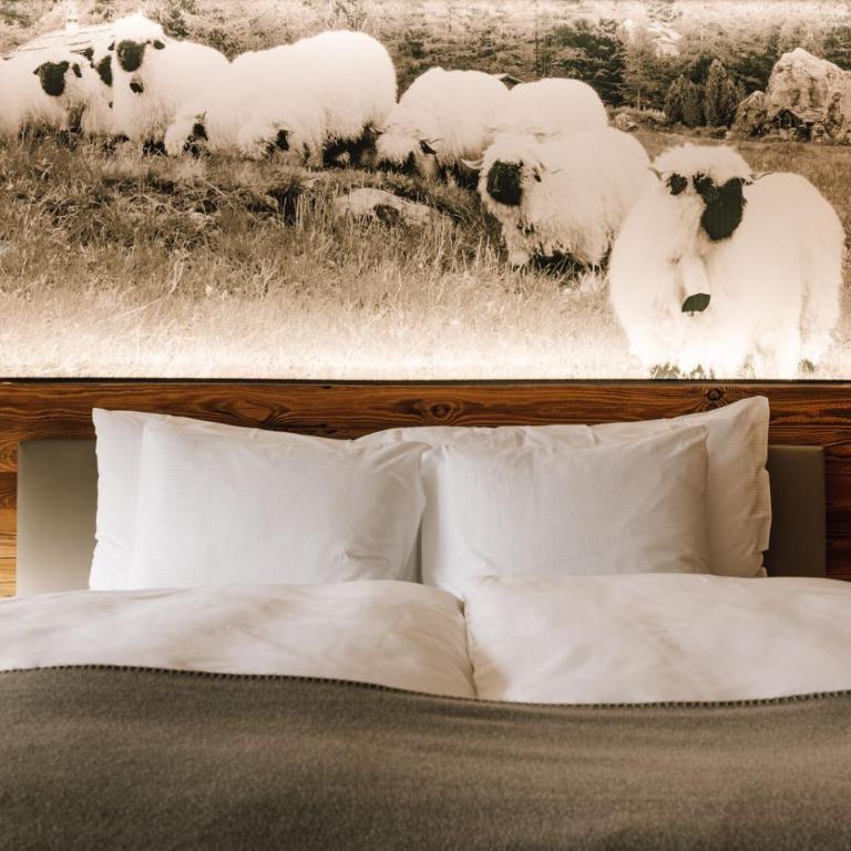 Europe Hotel & Spa - Design Doppelzimmer mit Blick auf das Matterhorn - 1