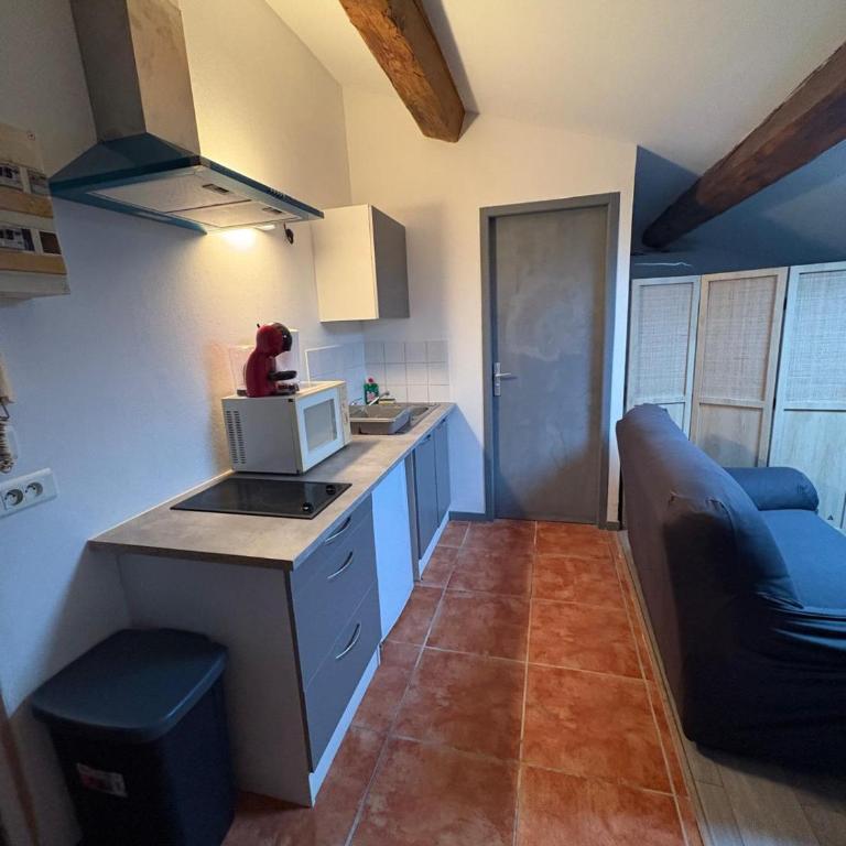 Grand studio proche centre - Appartement 1 Chambre - 4
