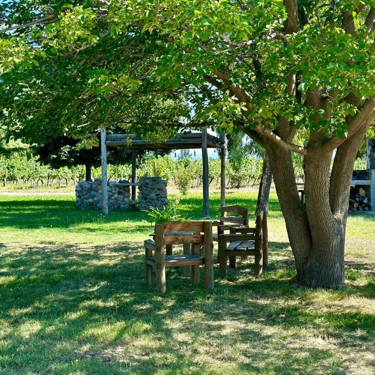Finca La Pichona - Casa de 2 dormitorios - 18