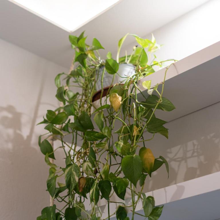 Blu's house in Florence - Appartamento - 41