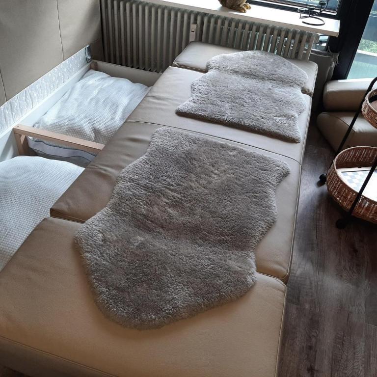 Alpenschwänchen 3 - Rupertusschwänchen - Apartment - 19