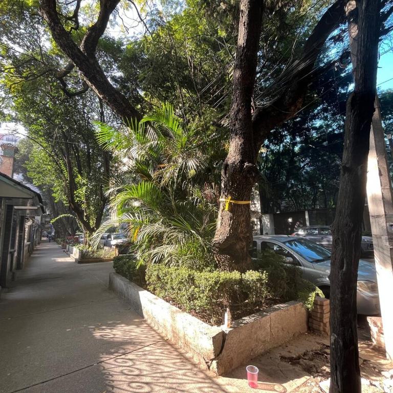 Near the best spots in Polanco - Three-Bedroom Apartment - 12
